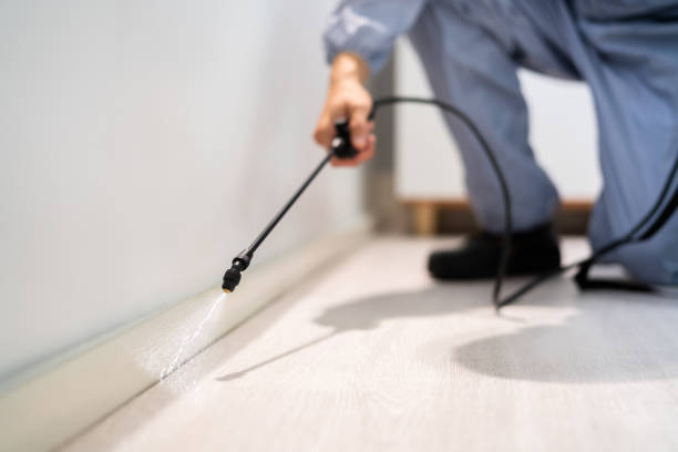 Licensed Termite Control service in Mercer County County, NJ - Nex Pest Control