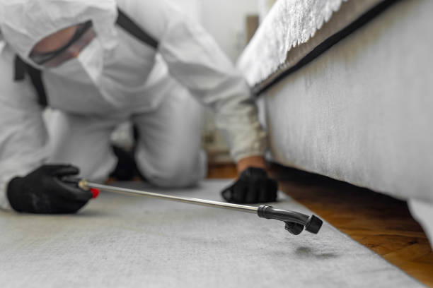 Professional Termite Control technician working in Mercer County County, NJ